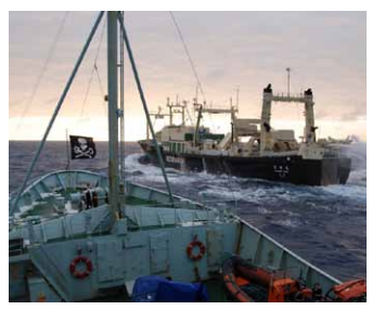 Sea Shepherd, M/Y Robert Hunter trails Japanese whaling fleet’s factory ship, the Nisshin Maru, in the Southern Ocean Whale Sanctuary off the coast of Antarctica, February 9, 2007. Photo: Sea Shepherd Conservation Society